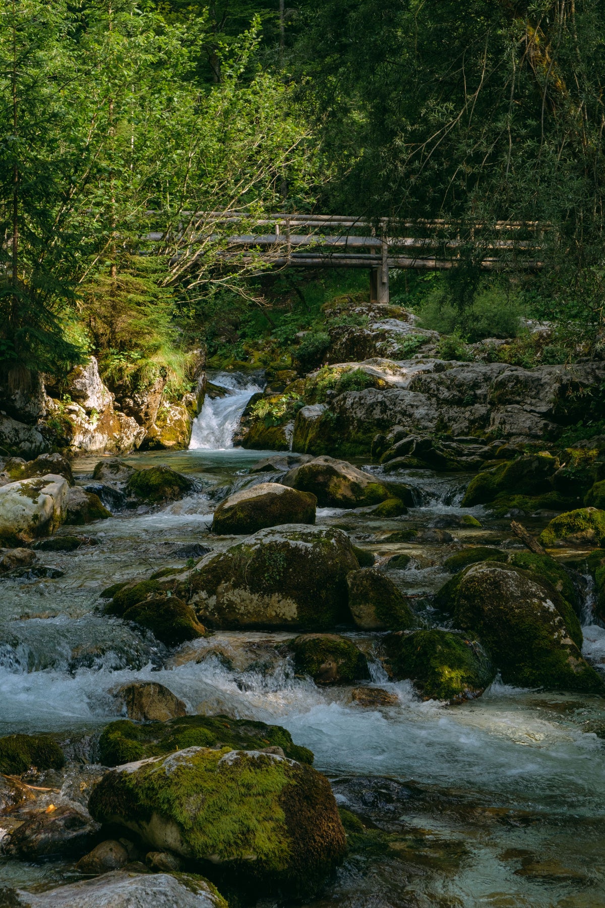 Klarer Waldbach fließt zwischen Felsen und grüner Natur